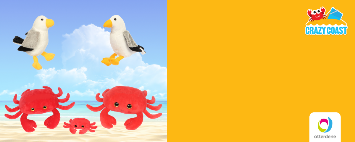 BEST SELLING SOFT CRABS & SEAGULLS ...